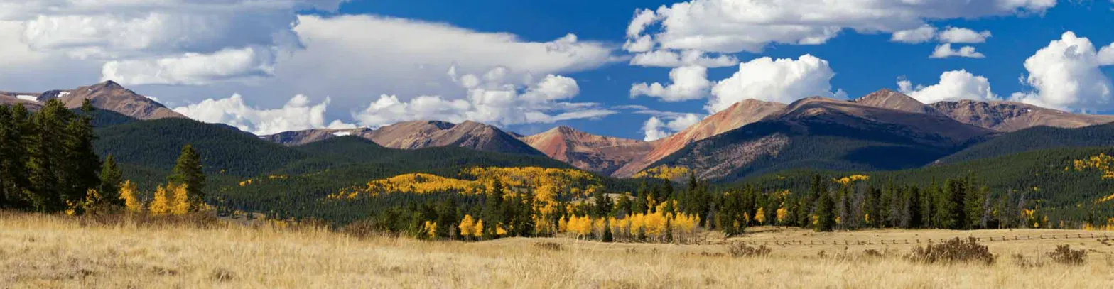 Golden aspen trees and Front Range mountain views near Mead, Colorado